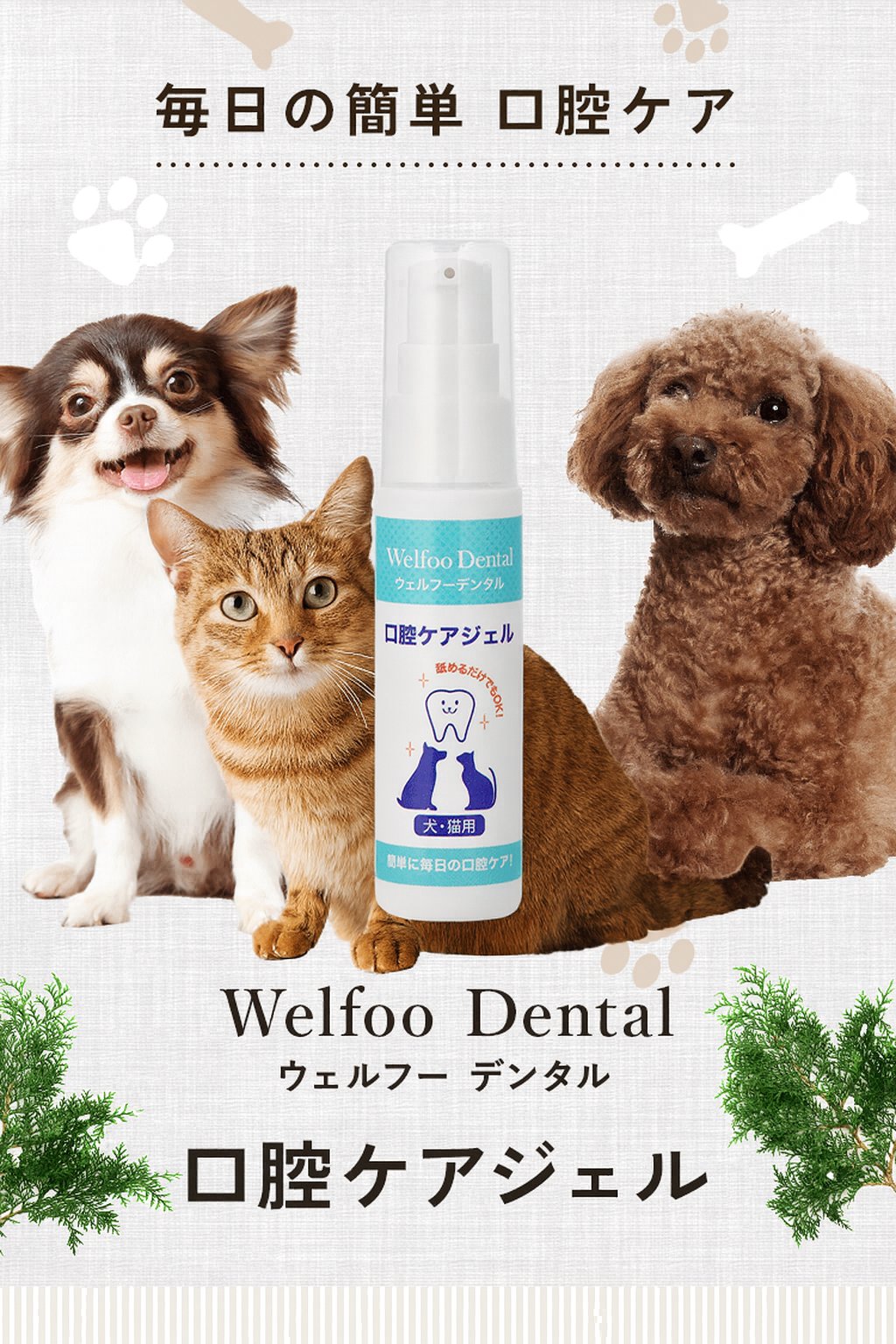 Welfoo Oral Care (Dental)